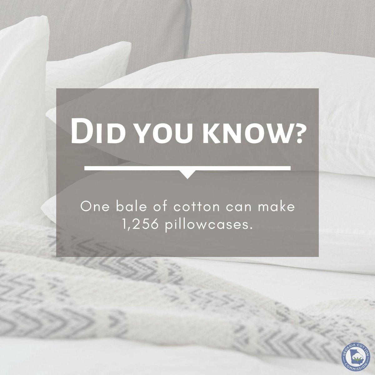 Happy Friday! Did you know that one bale of cotton can make 1,256 pillowcases?