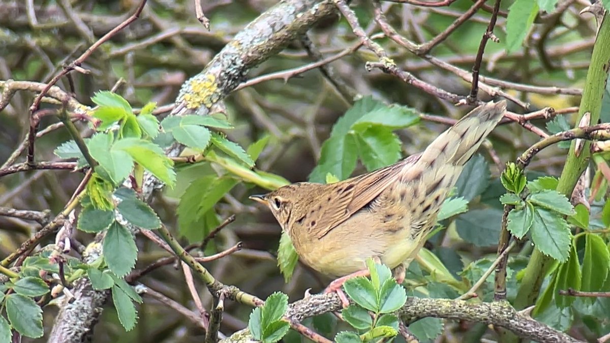 James Wilkinson tweet media