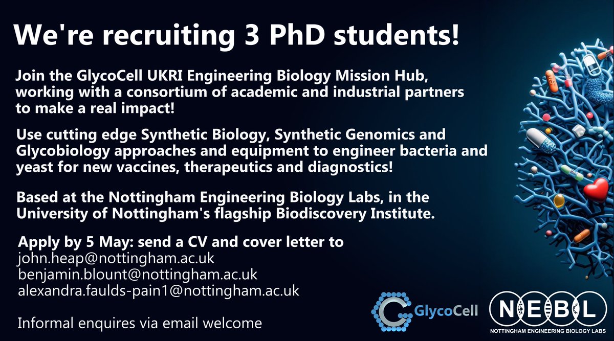 We're recruiting for 3 funded PhD studentships! Join the GlycoCell UKRI Engineering Biology Mission Hub & use Engineering Biology, glycobiology and Synthetic Genomics for microbial production of vaccines, therapeutics and diagnostics! Apply by 5th May via email #engbio #synbio