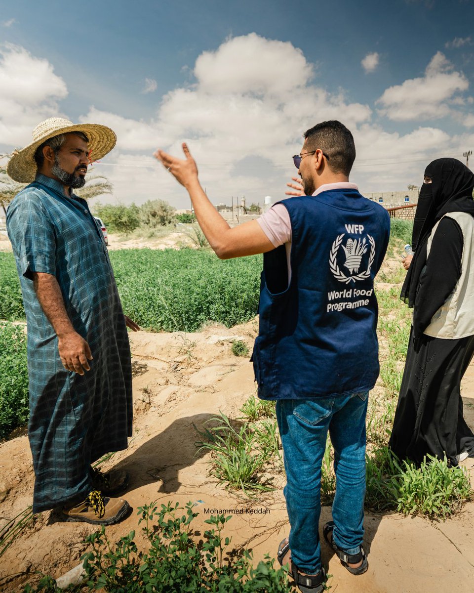 Cyclone Tej destroyed Mohammed's farmland in Yemen – fortunately, through the @WFP's Multi-Year Livelihoods Project, Mohammed received fertilizer, seeds, pesticides, and cash assistance to cultivate his land again. 🥬