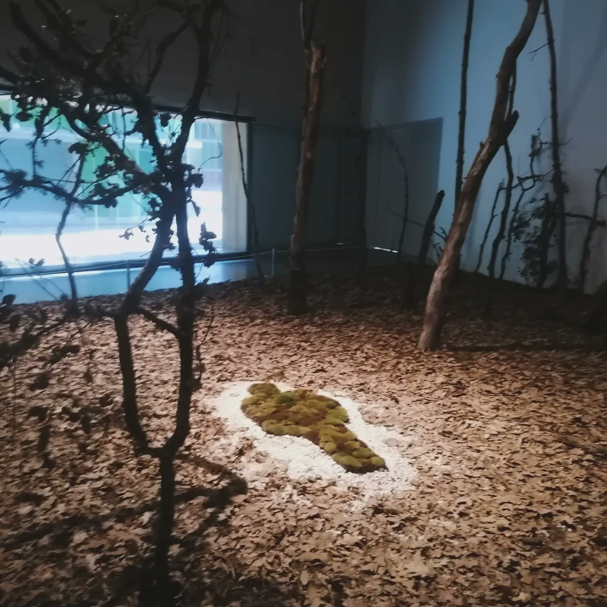 🎨 Alumnado de 1° Bach. visitó ayer la sorprendente exposición de Ana Mendieta en el @musacmuseo. Ahora les tocará a ellos diseñar un itinerario artístico en inglés relacionado con la performance y el land-art 🙌✅. Let's get down to work!