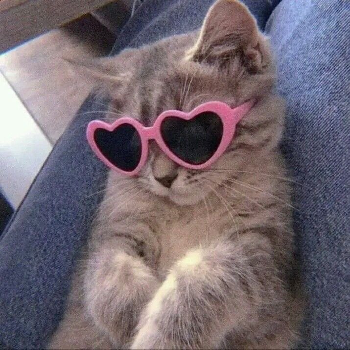 carmeliiru's tweet image. Buenos y bonitos días, que venga un gran fin de semana para toda la podebanda 🫶🏼✨ #PoderosoShow