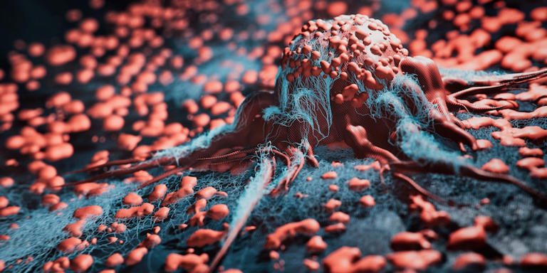 SCIENCEINFOCHA1 tweet picture