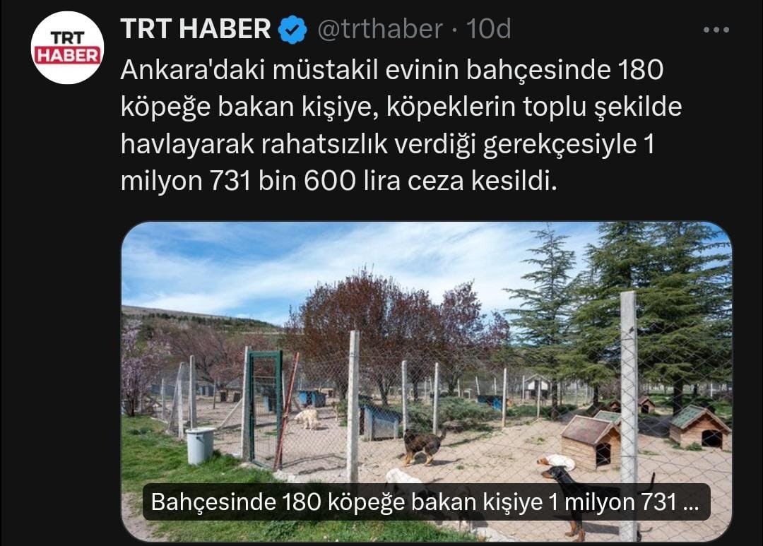 Hayvan istifçiliği, tedavisi zor bir psikiyatrik hastalıktır. Tedavi edilmeyen vakalar genelde mizantropi eşliğinde itperest sendromuna yol açar. 5199 değişmeli, sokakta başıboş köpek olmamalı. @GuvenliSokaklar @GuvenliSehirler