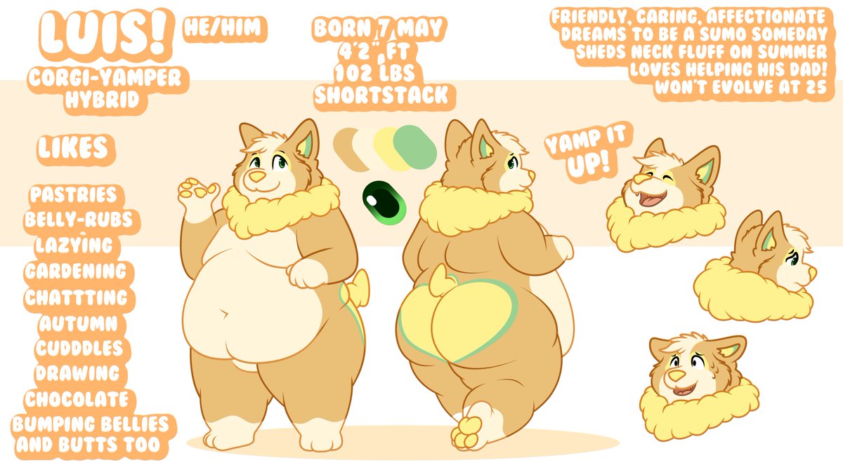 New ref sheet for Luis! ⚡️ The yamper corgi boyo is here to Yamp it UP! 💛 Fluffier, tubbier, smoller, cuter than ever!