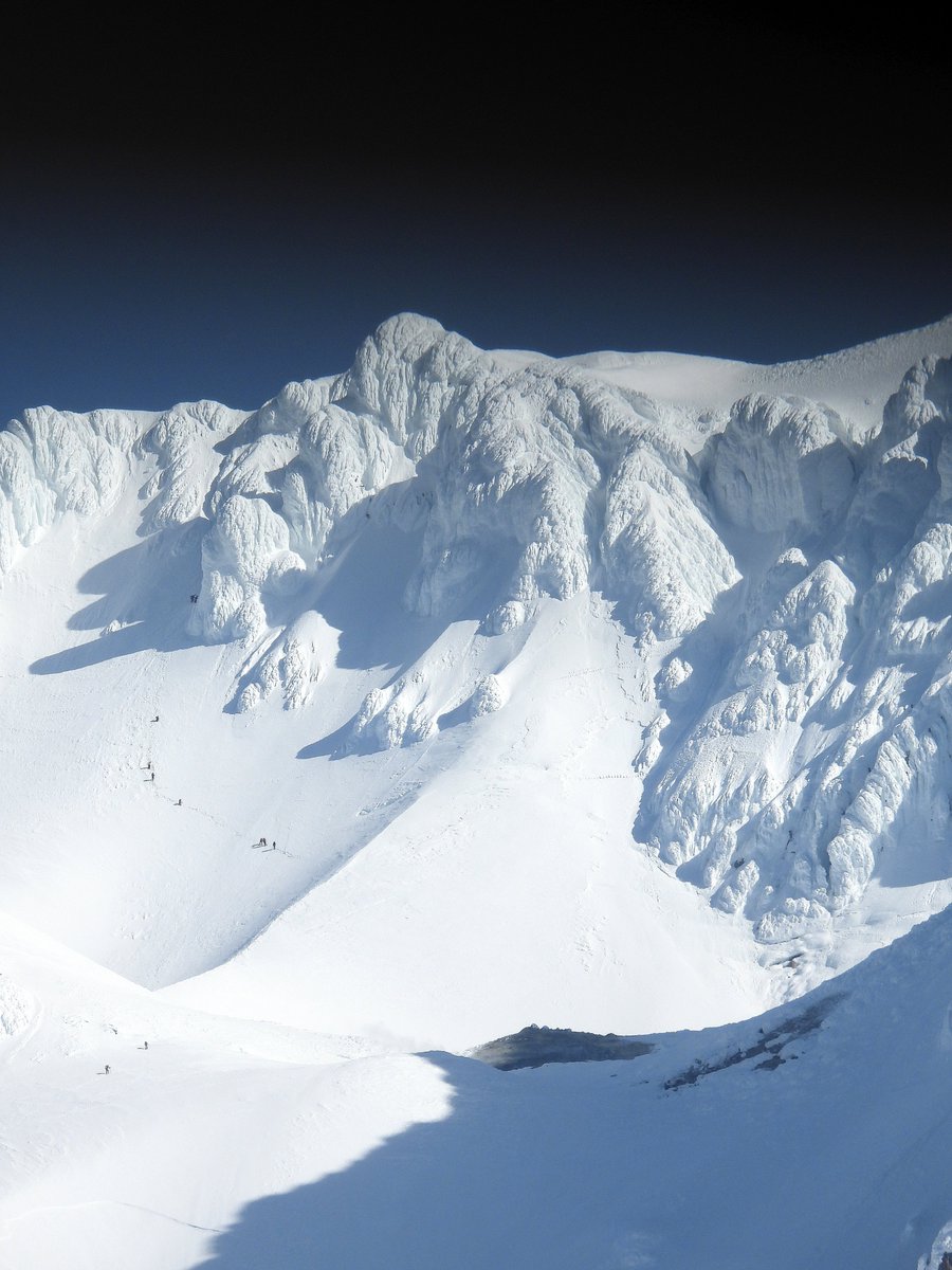 Jeff Forgeron tweet media