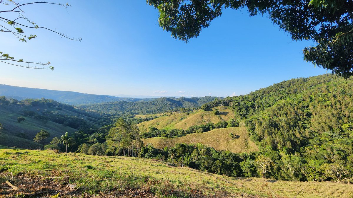 albuccasis's tweet photo. Para el #VeoVeo de Doña Laura!
@laurayosiam
Sección Güarey, Reserva Natural Especial de Güaigüí, La Vega. https://t.co/yVmm4IkXaE