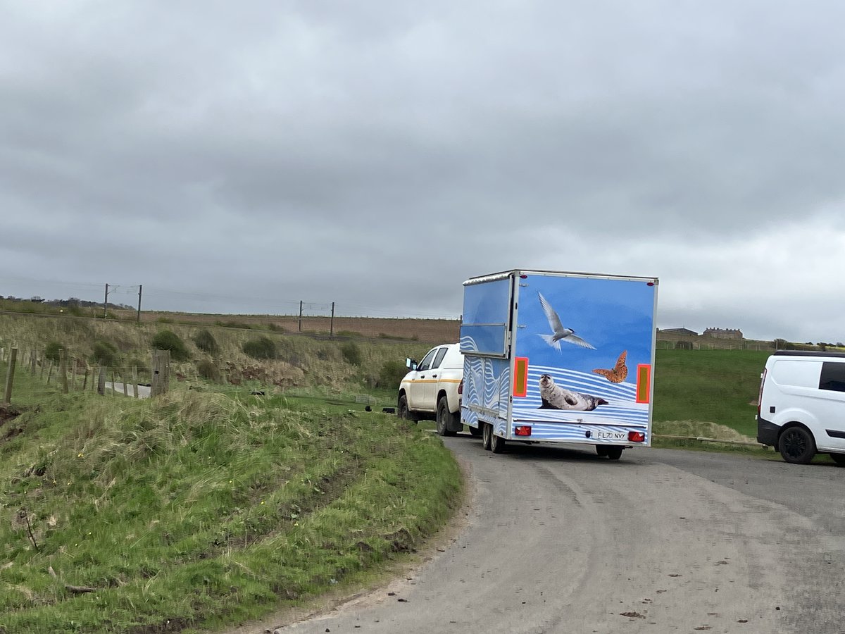 Ready for action! look out for the new LIFE WADER mobile information trailer and the @lindisfarne_nnr team around the Northumberland Coast over the coming months, please stop for a chat to learn more about our work protecting habitats and species @LIFEprogramme @NE_Northumbria