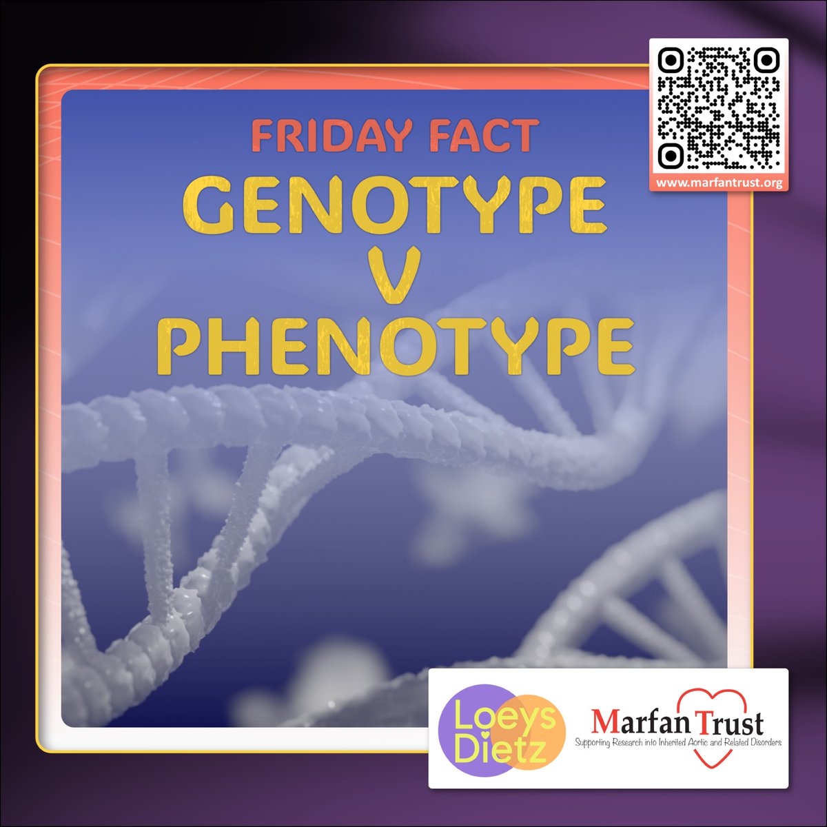 Looks are not skin deep but an outward expression of what lies underneath. Our genetic make-up (genotype) influences our physical characteristics (phenotype) including our height & eye colour. But in #Marfan, the characteristics are very variable: bit.ly/3xznANw