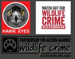 AFBI is a core member of PAW NI, a group set up to raise awareness and help combat wildlife crime locally. They have created a video on the plight of raptors, focusing on buzzards in Co Fermanagh. Take a few mins to watch this video here: bit.ly/3xyC54p, please share.