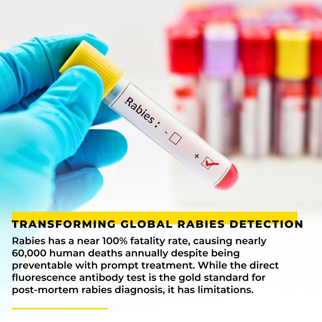 The fluorescence antibody test is the gold standard for #rabies detection assays, but it can fall short when analyzing deteriorated, fixed, or lipid-heavy tissue samples. A pilot study of the Taqman-based LN34 assay offers a promising alternative: zymoresearch.com/blogs/blog/tra…