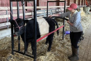 UMass Veterinary and Animal Sciences Dept (@umassvasci) on Twitter photo Join us for the annual Bay State Livestock Classic
at the UMass Hadley Farm
on Saturday, April 27, 2024, 9am-3pm
Free and Open to the Public.
Fun, food, and activities are provided for kids of all ages!
<a href="/UMassAmherst/">UMass Amherst</a> <a href="/CNS_UMass/">College of Natural Sciences at UMass Amherst</a> Join us for the annual Bay State Livestock Classic
at the UMass Hadley Farm
on Saturday, April 27, 2024, 9am-3pm
Free and Open to the Public.
Fun, food, and activities are provided for kids of all ages!
<a href="/UMassAmherst/">UMass Amherst</a> <a href="/CNS_UMass/">College of Natural Sciences at UMass Amherst</a>