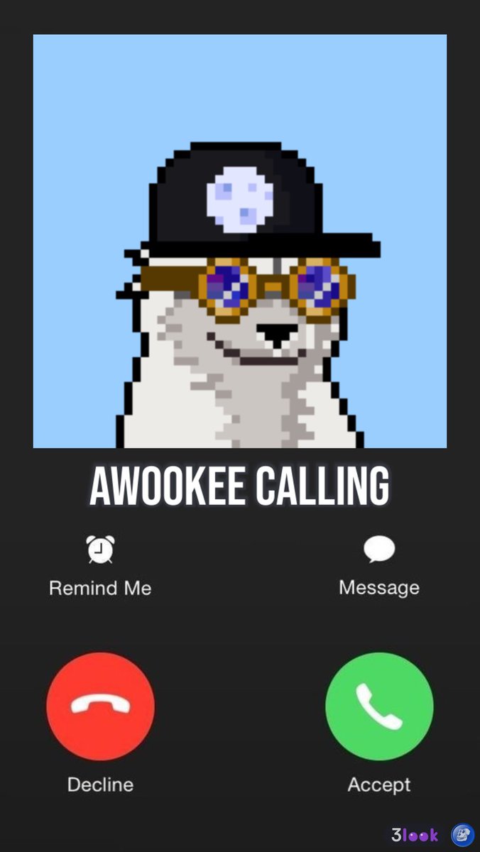 ExplorerDavid's tweet image. GM 🐺

#Moonrunners