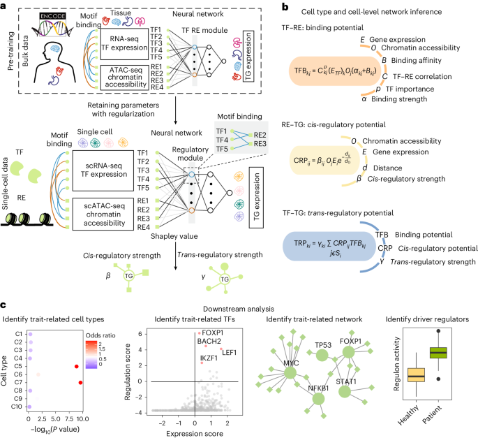 Inferring gene regulatory networks from single-cell multiome data using atlas-scale external data go.nature.com/43YySqO