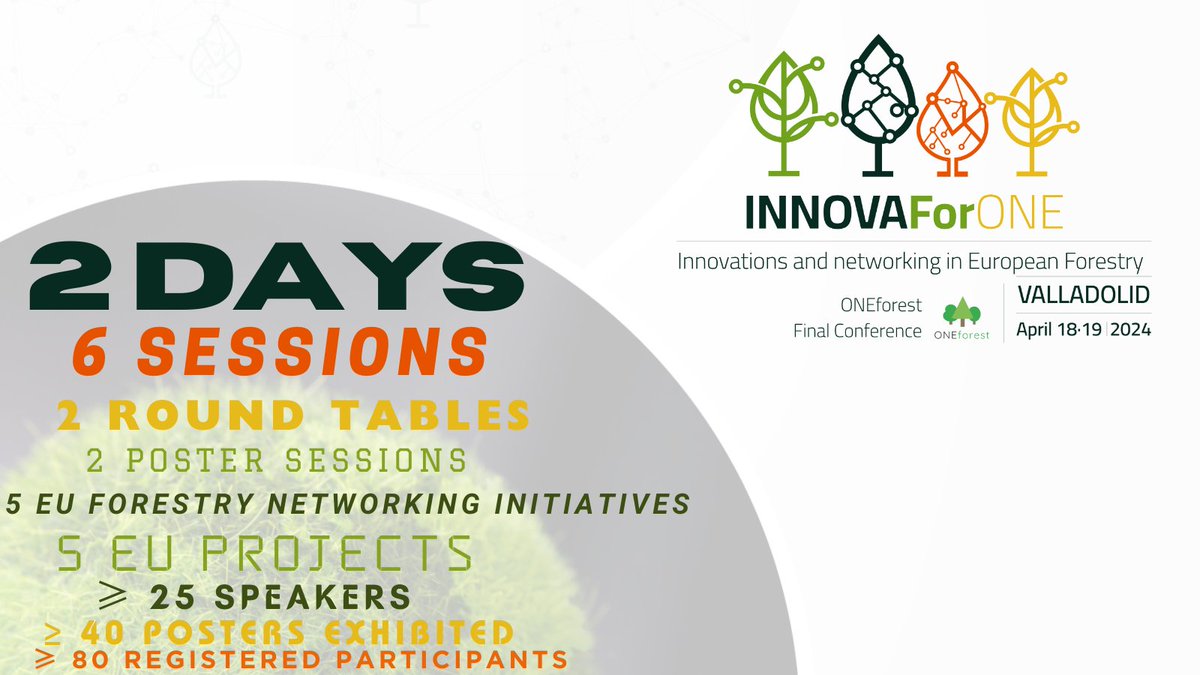 #ONEforestFinalEvent in figures👇 🌲Will you miss this landmark forum where Innovations in #Forestry and Synergies between EU Networks converge? 📆April 18-19 📍Valladolid & Online 🔗oneforest.eu/content/onefor… #INNOVAForONE #EUforest #H2020