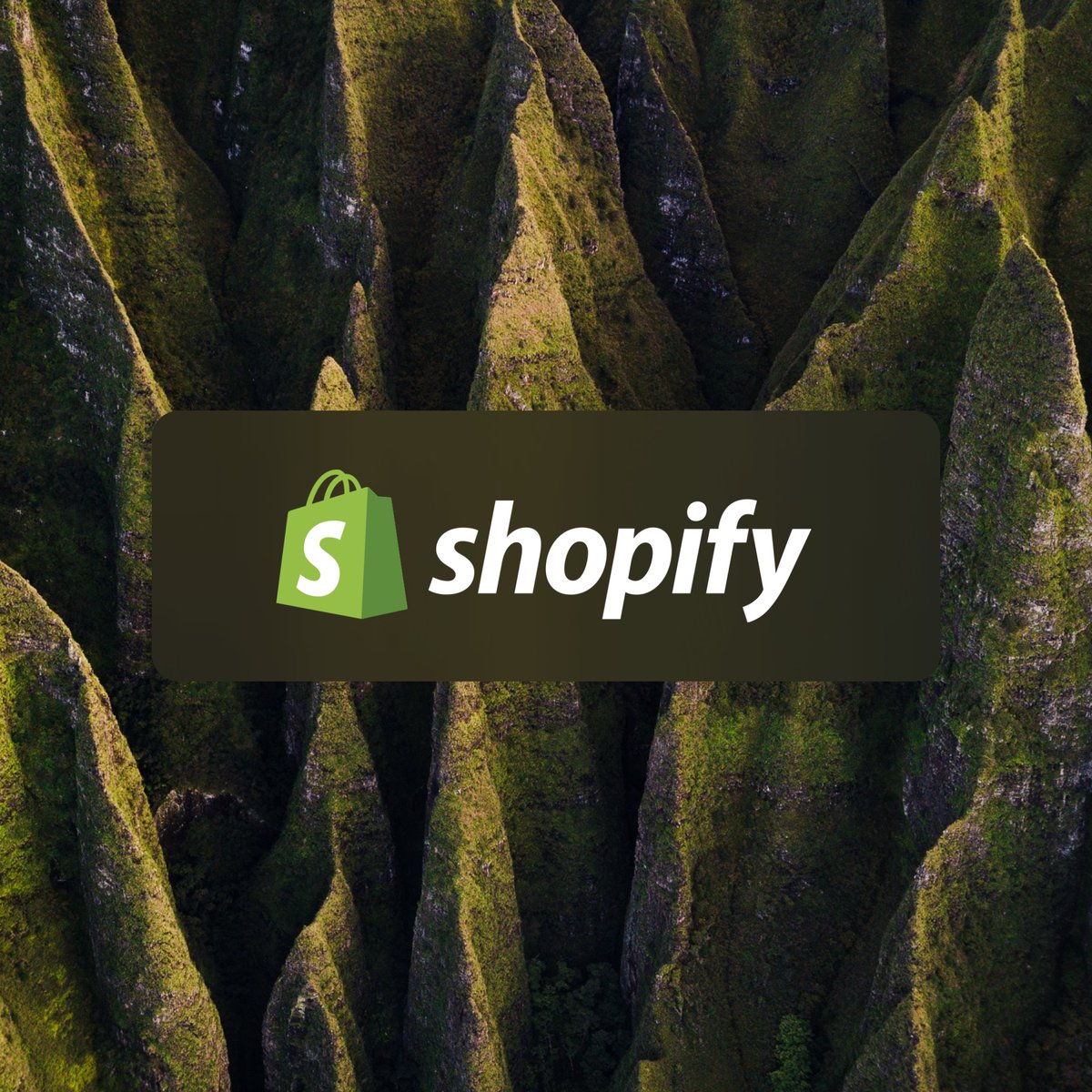 Congratulations to the @Shopify team for such incredible progress in your ambition to scale innovations in carbon removal! See how Shopify partnered with Pachama to build nature into these long-term ambitions pachama.com/blog/customer-…