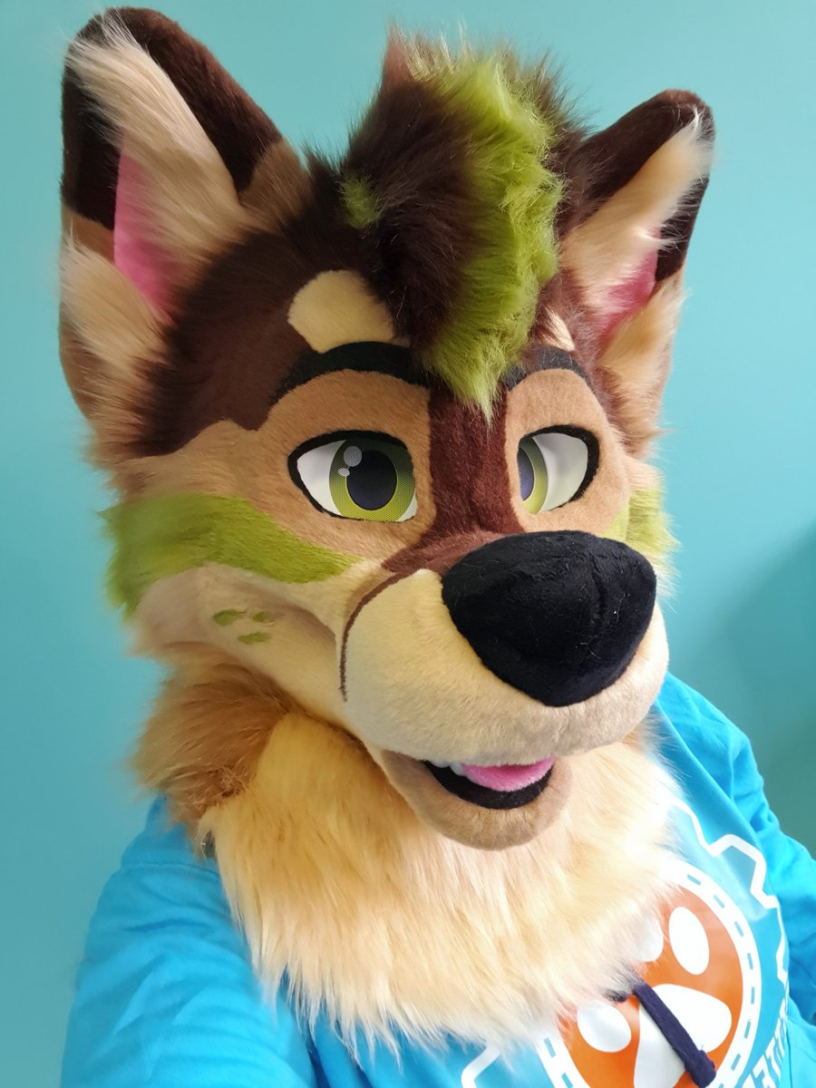 Midori is looking forward to meeting his new owner, will that be you? Auction is running for two more days and a fullsuit upgrade is possible!