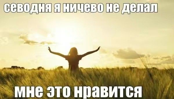 Сай 1% 𓈆 ᯤ̸ (@hydsheer) on Twitter photo 