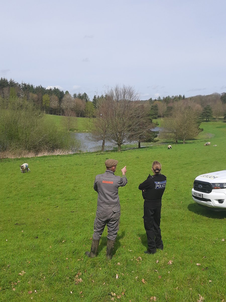 #OperationRecall is helping to reduce Livestock worrying incidents.  We are asking dog walkers to keep their dogs under full control around sheep on public footpaths.   It is Lambing season so please take extra care.  #23206 Pc STANBROOK    #HantsRural