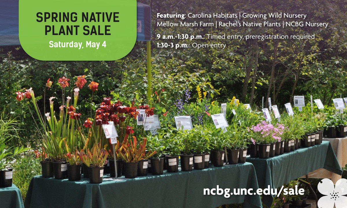 Our Spring Native Plant Sale is coming up on Saturday, May 4! This year, you'll need to preregister for timed entry slots between 9 a.m. and 1:30 p.m. No registration will be required between 1:30-3 p.m. Registration opens at 10 a.m. on April 20: ncbg.unc.edu/event/spring-n…