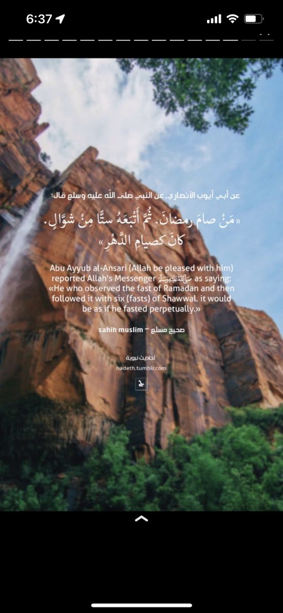 11Amjadd's tweet photo. https://t.co/pnzVmhNNkC