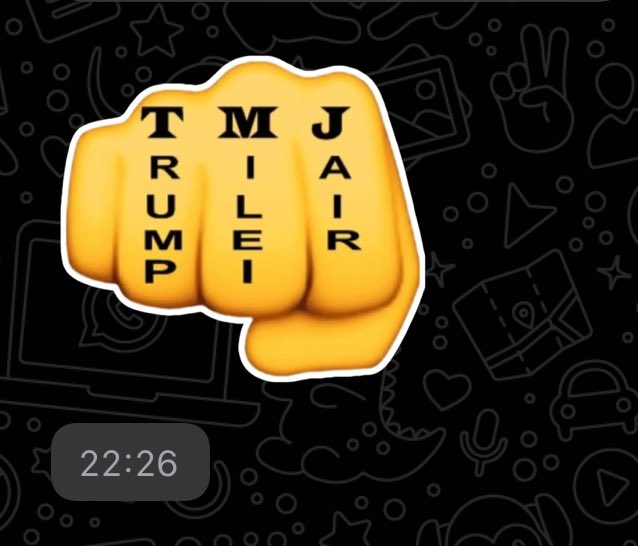 Direitista na Net tweet media