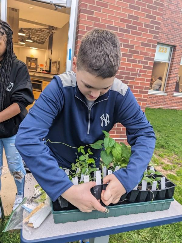 Ms. Blaesi's study hall students extended
their knowledge of planting by growing different kinds
of vegetables from seeds! Here they are replanting
their seedlings into peat pots to take home!
#gateschilims #GCPride #GCcares