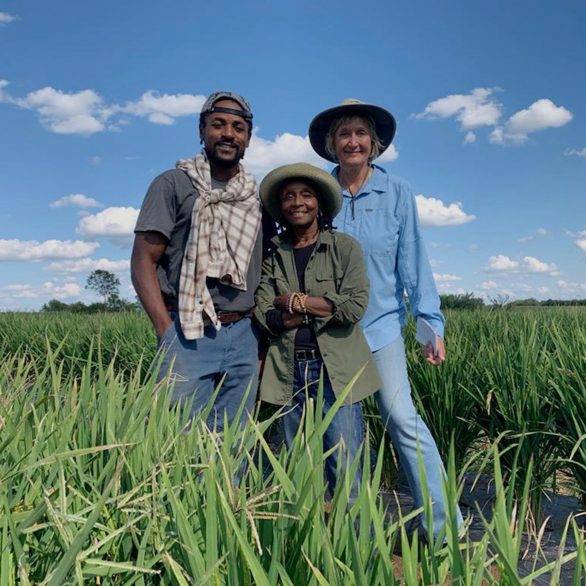 'A co-op Graddick has organized in East Alabama, comprised of young farmers who are heirs & descendants of the Federation of Southern Cooperatives, will grow rice on two leased acres next year. They’ll give their crops to food shelves in East Alabama.' 💚 bit.ly/3PMtsJu