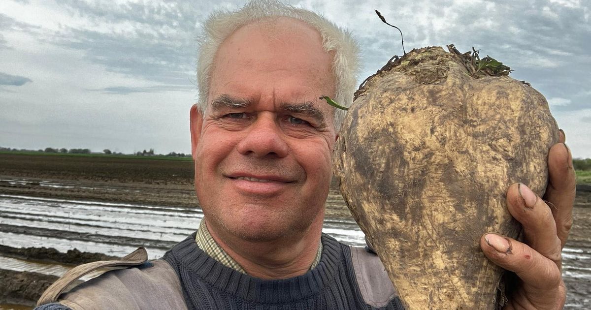 Farmer says 'it's a miracle any crop survived' after 'worst winter ever' mirror.co.uk/news/uk-news/f…