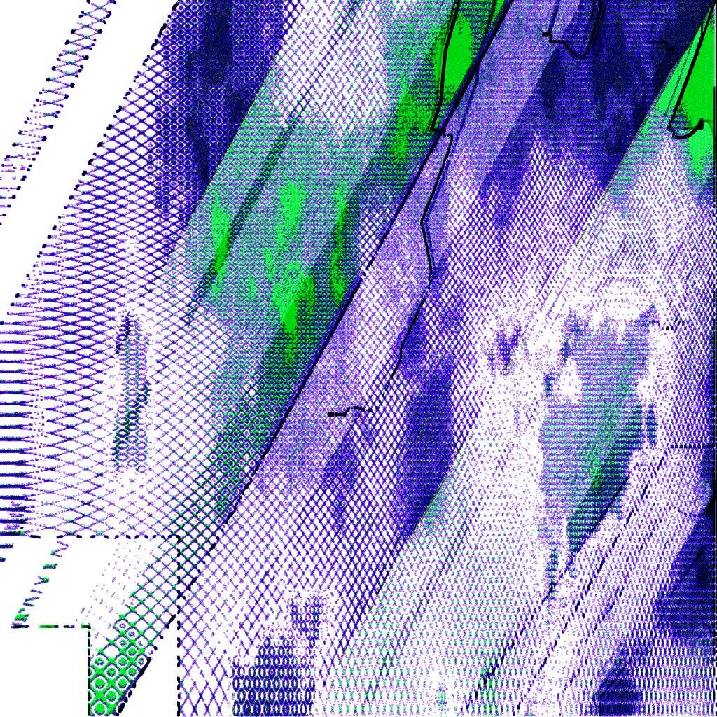 Sketch risotto of c.a. with fresh particles and grated flowfield, seasoned with extra virgin perlin