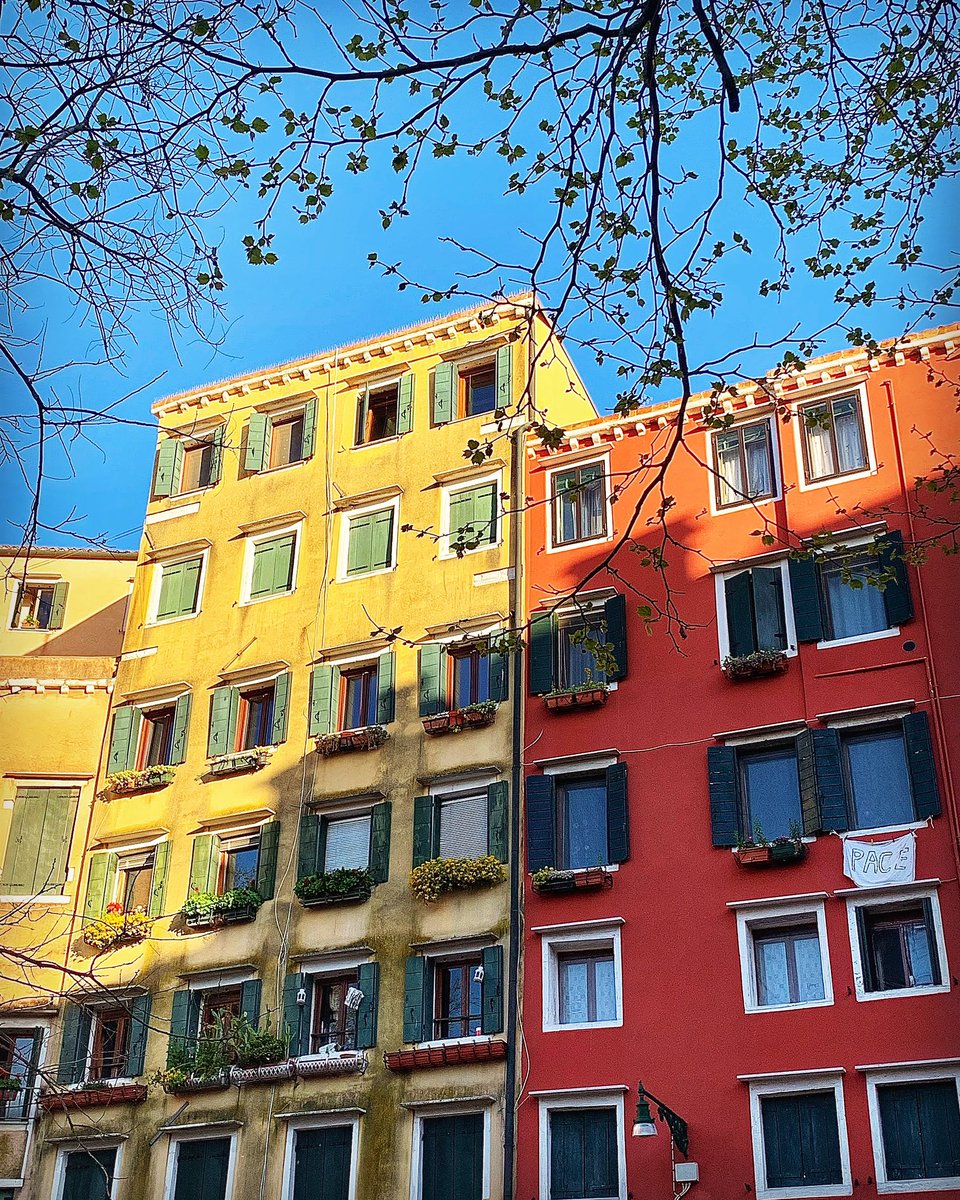 💙💛❤️

📍(Campo del Ghetto Novo)

#VeniceLife #vitaveneziana #vivereavenezia #venise #venecia #venedig #venetië #veneza  #ונציה #베네치아 #ヴェネツィア #威尼斯 #veneziaperimmagini #veneziadavivere #veneziaautentica #streetphotography #urbanphotography #perfectview #venicevibes