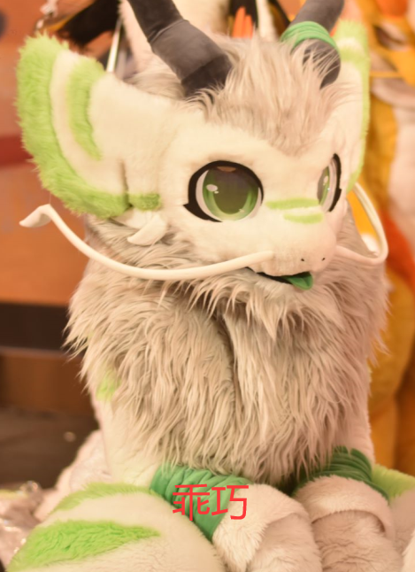 没拍好的，但做表情包貌似刚刚好uwu
#furry #fursuit #兽装 #表情包