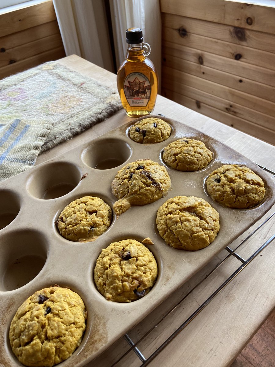 Banana Pumpkin , Chocolate chip muffins