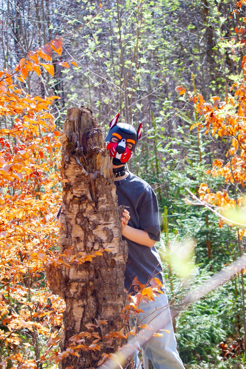 rednaughtypuppy's tweet image. Can you see me now? 🫣
Follow me on IG to not miss anything :) (@rednaughtypuppy)
📸 by @Eras247 ❤️
Edit by me 🫶
#petplay #petplayer #puppy #puppyplay #puppyplaygay
