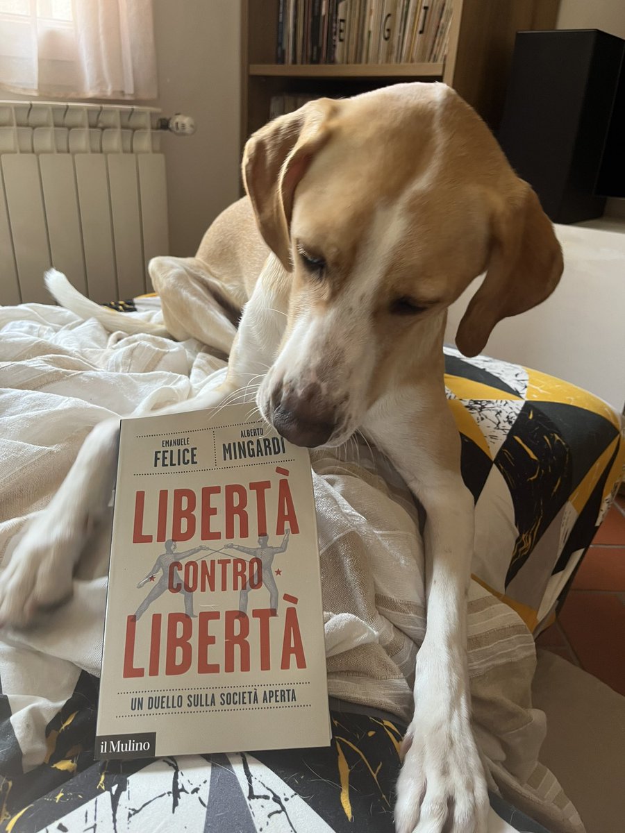 … eccoci in libreria ☺️ (e tra le grinfie di Dylan…) Libertà contro libertà @edizionimulino