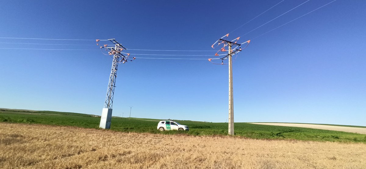 Cable sin aisladores mortandad por electrocución @SOStendidos Procede una Inspección por #AAMM @jcyl levantan actas de deficiencia y/o de mortandad de avifauna. Después @naturalezacyl informa a la compañía para adecuación y aislamiento. Finalmente acta de reconocimiento. @112cyl