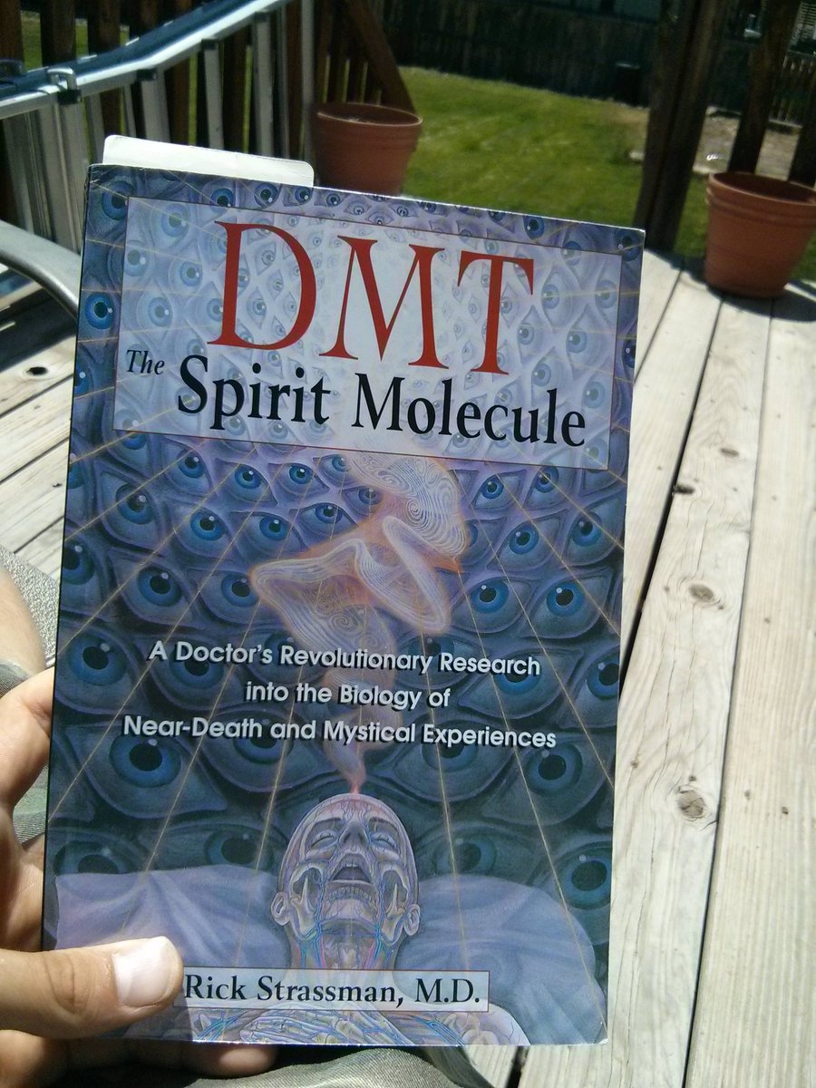 Dr. Strassman is the worlds foremost expert on DMT and 'DMT The Spirit Molecule' is THE book on DMT. It contains information regarding the only study on DMT done by the US. Fascinating case studies that provide insight into the nature of consciousness: amazon.com/DMT-Molecule-R… #ad
