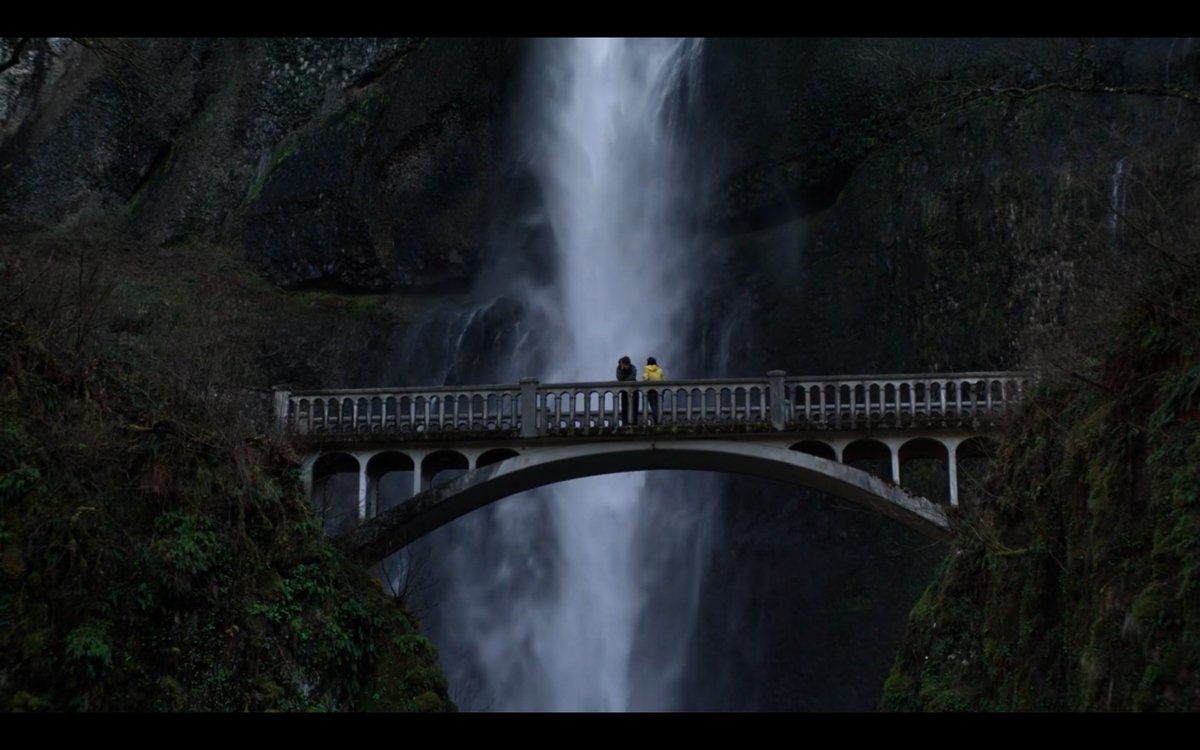 Leonardo Goi tweet media