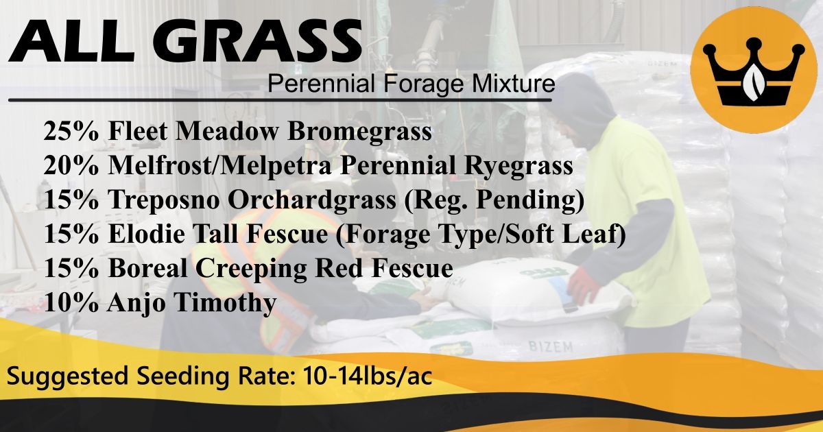 Our All Grass forage mixture is a perennial blend, without legumes.🌱 This widely adapted mix of cool season grasses will produce good quality feed and tonnage for an all-grass field.