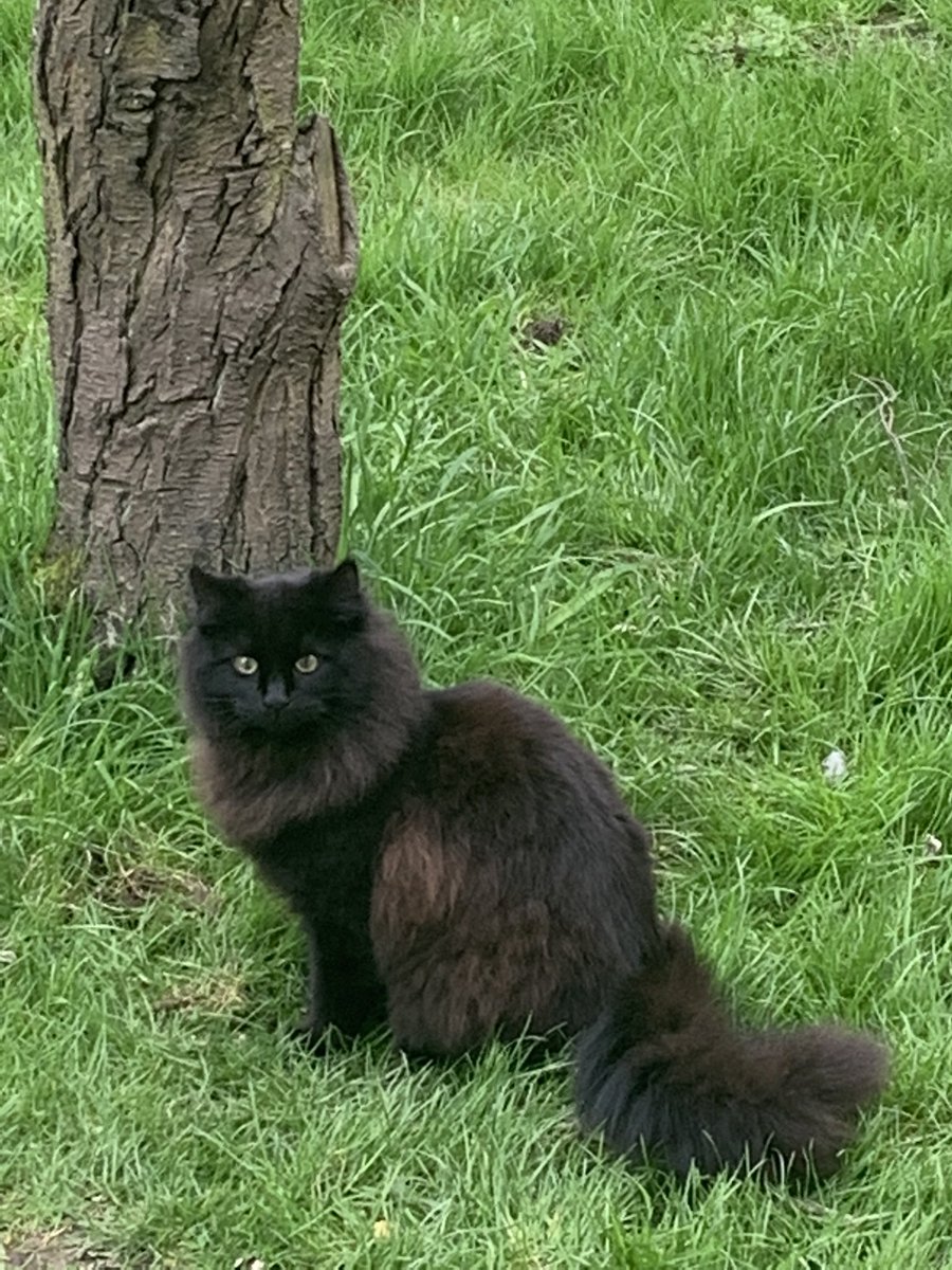 Phil Woolley tweet media