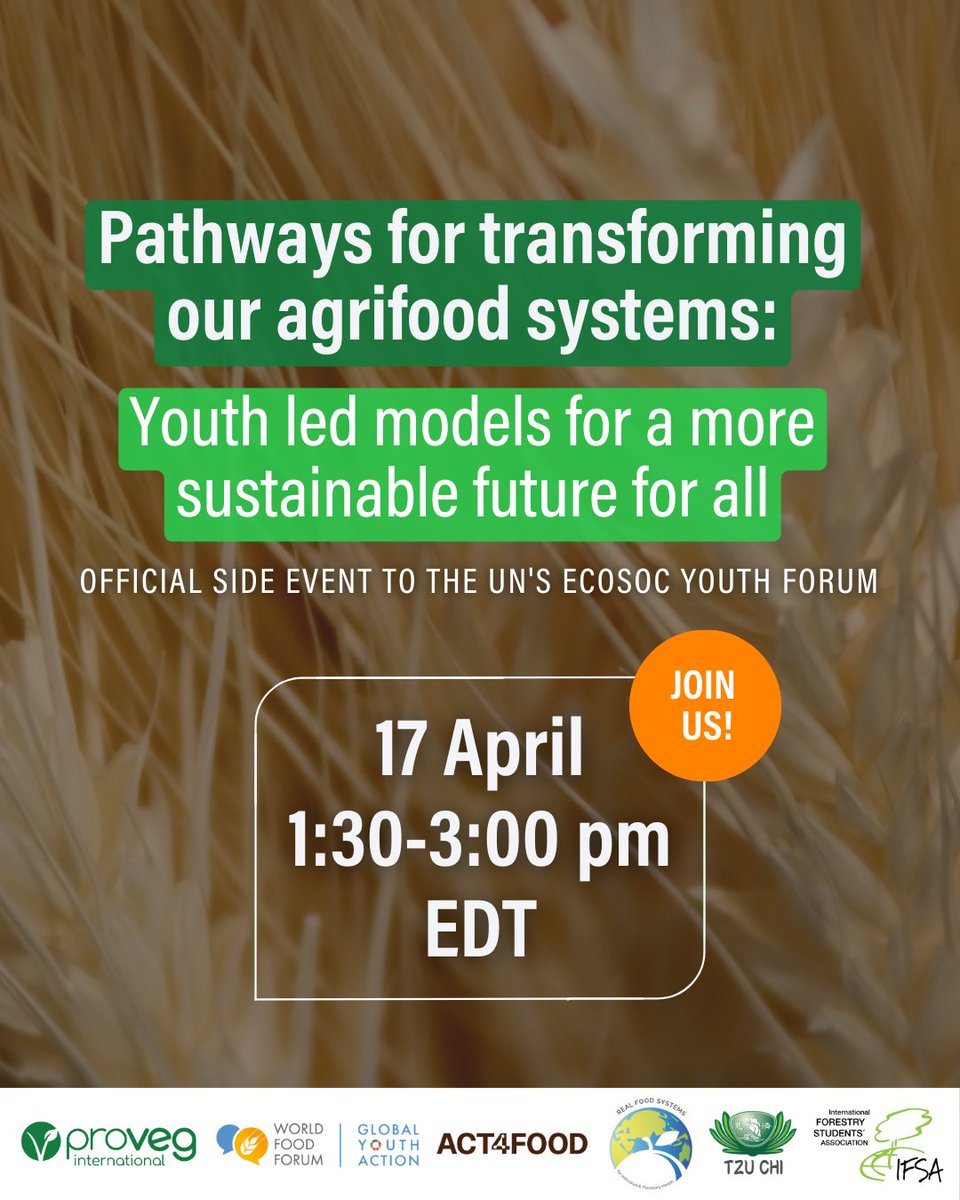 Young people are the future! 🌱🔮 We are hosting a side event at the @UNECOSOC Youth Forum 2024 in New York, showcasing innovative youth-led solutions and models for reshaping our agrifood systems to foster sustainability, resilience and equity. Join us ➡️ hubs.ly/Q02sGkzj0