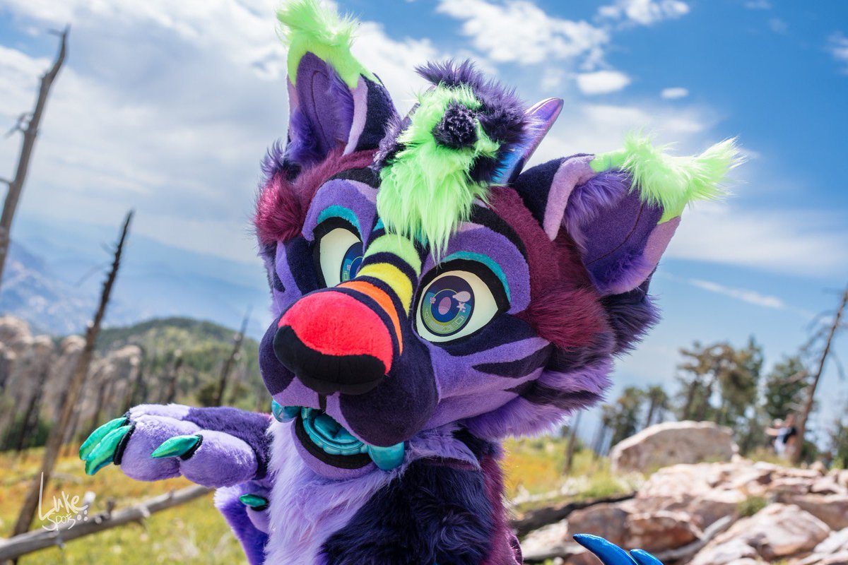 It’s so nice out today! 📸:@luke_spots 🧵:@WildFoxWorks Happy #FursuitFriday