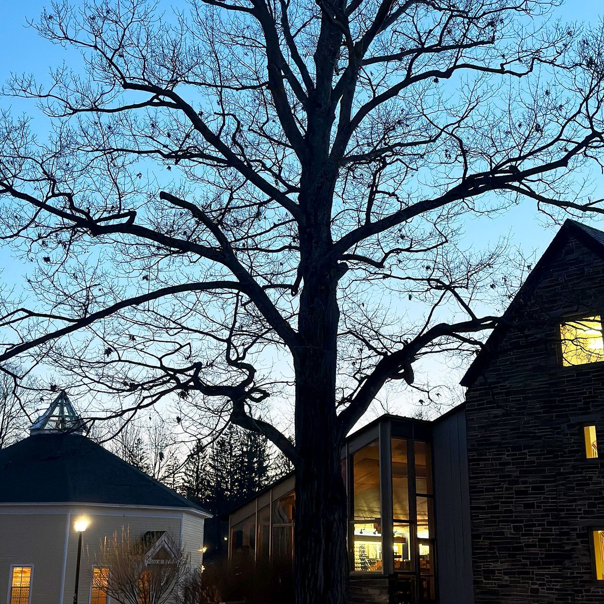 Pretty sky over the Sadove Student Center. (Photo by Brett Hajdaj ‘27)  

#OurBeautifulCampus