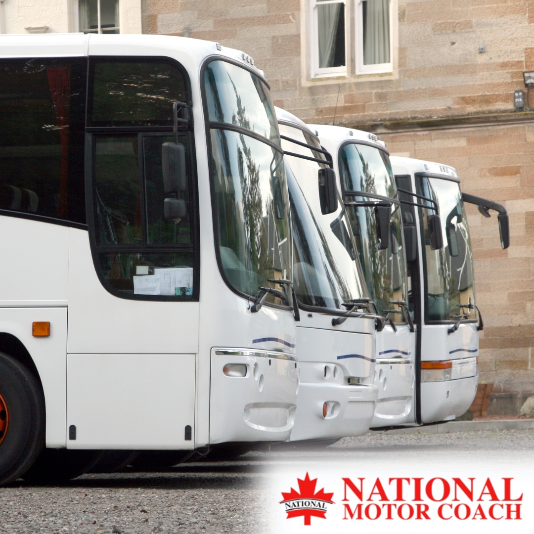 Say goodbye to carpooling chaos! Travel together, stress-free. 🚌

🌐 nationalmotorcoach.com
.
.
.
#NationalMotorCoach #TransportationServices #Calgary #Banff #Edmonton #Richmond #BusCharter #PrivateBusCharter #CharterServices #Travel