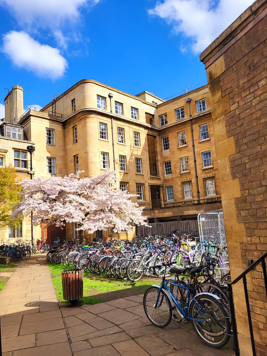 🌸Happy Friday🌸 

Now that spring is officially upon us it surely is putting a spring in our step! 

Enjoy the outdoors this weekend by exploring Cambridge by foot, by bike, by punt, it's up to you! 😊 

#visitcambridge #cambridge #lovecambridge #springvibes