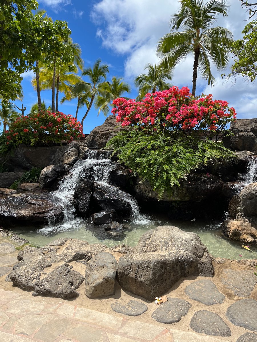 Kennedy Catholic tweet media