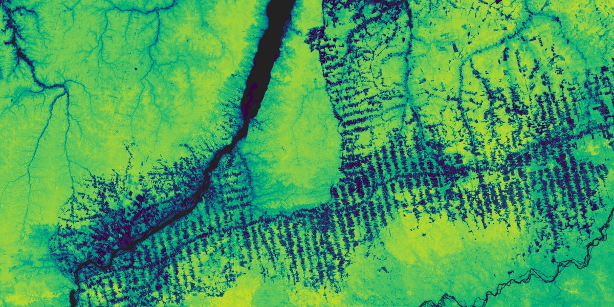 With our Planetary Variables data feeds, you can measure and quantify the changing dynamics of our Earth, from soil moisture and land temperature to forest carbon and crop biomass. Learn how to access these data feeds on our Planet Insights Platform: planet.com/pulse/measurin…