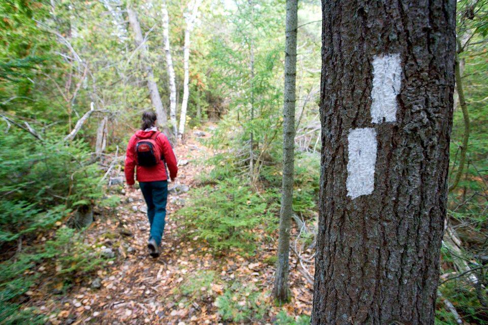 Spring is a great time for a hike! Snow melt and spring run-off can leave parts of trails in the area flooded or with muddy sections. Remember to wear appropriate footwear. parks.canada.ca/pn-np/on/bruce…