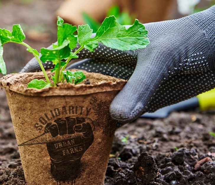 Solidarity Urban Farms and LPLS are getting ready for the 2024 growing season and are looking for volunteers for this year's kickoff! Water, coffee and snacks will be provided. Please meet inside the Main Library at 10:30 a.m. Saturday, April 27! We can't wait to see you there!