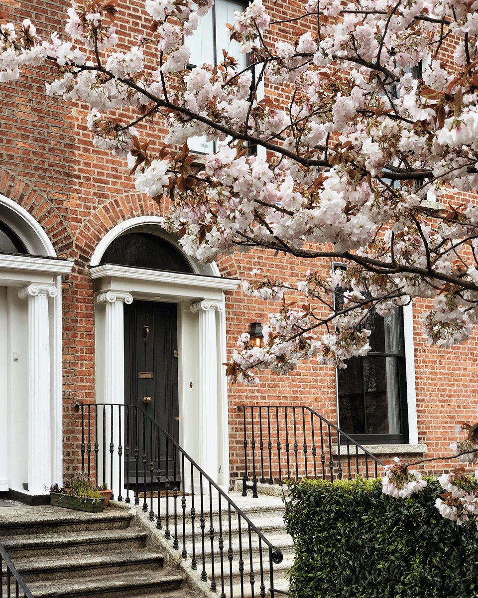 Bookshops and cherry-blossoms, a Spring day in Dublin 🌸 #lovedublin